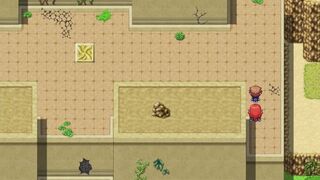 Town Of Passion #21 Sexy Rose