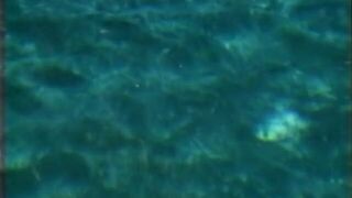 Busty darkhaired chick was fooling around with dildo when blonde girl living next door proposed to ho have some Sapphic