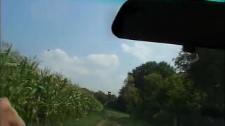 Blond Milf mit Dicken Titten bekommt im Feld eine Spermakur - 4 image