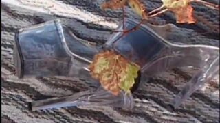 Stunning non european woman takes dick outside on the floor