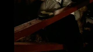 Homey In The Haystack #1