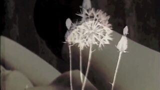 Dark Lantern Entertainment presents 'At Home With Granny' from My Secret Life, The Erotic Confessions of a Victorian English Gentleman