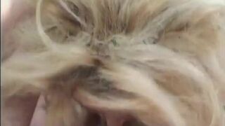 Blond MILF neatly shaved cunt is fucked on a lawn chair