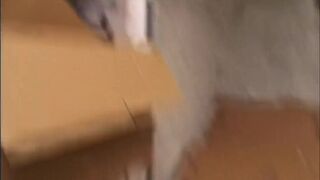 Komm mit in den Keller - Mama zeigt dir wie man fickt