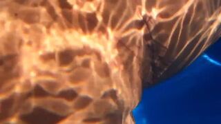 Sexy Joy takes a Creampie in the Pool