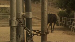 Cocky stud ravish his girl severely in a reality shoot - 5 image