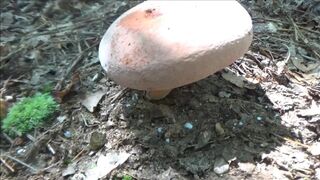 Naked Stream Bathing- no Sex- Outdoor Sexxy Chubby MILF Frangelica PFC Hair