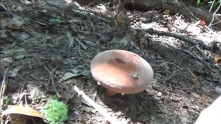 Naked Stream Bathing- no Sex- Outdoor Sexxy Chubby MILF Frangelica PFC Hair