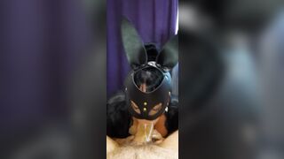 Sucked off Stepbrother and Titjob until he Cums