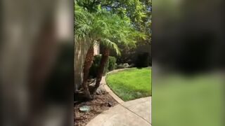 RISKY FUCK IN MY NEIGHBORS BACKYARD WITH MY EX