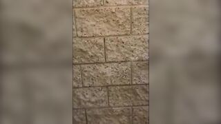 RISKY FUCK IN MY NEIGHBORS BACKYARD WITH MY EX