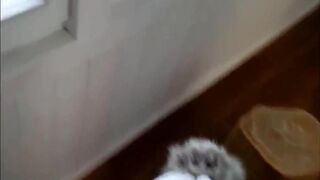 Mein Zimmer Junge traut sich was - Winter Sex