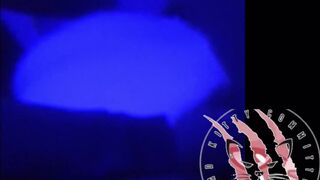 Bored European House Mom first BBC Gangbang while Huband away