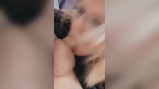 Got my big tits out and sucking cock