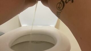 Stylish Dirt's urinates for one day