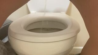 Stylish Dirt's urinates for one day