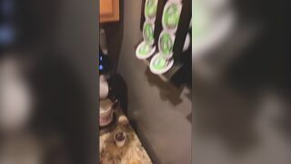 Fucking Chloe on the Kitchen Table