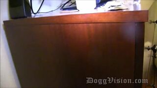 Swinger Wife Anal Pumped at Swinger Party