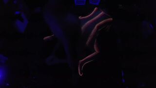 Darksome Light Vibes