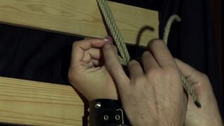 Rachel Evens, the Chick to Make You Go Wild