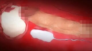 Koumi Jima Shuu 7 De Umeru Mesu-tachi Sex Scenes Demosaic Hentai