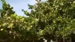 Sexy Fun In The Amateur Pool!