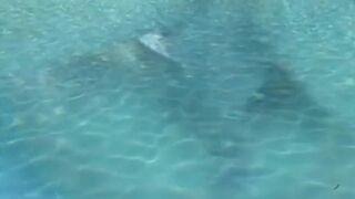 Anal outdoors with breasty golden-haired-classic