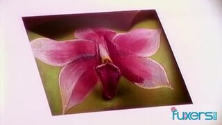 outdoor three-some sex