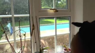 Trio Lesbo Aged with Lacey Starr - 5 image