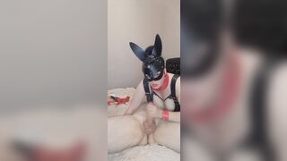 Cool Blowjobs with Cum in Mouth