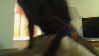 Three-Some and greater quantity Previews Old Clips