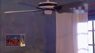 Brunette beauty gets on her knees and gags on a massive cock