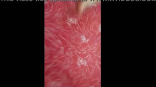 The red dress feat Ellie Cappotelli