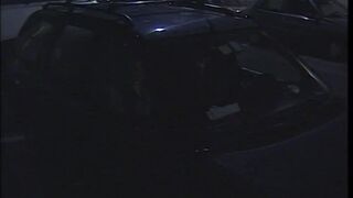 Bitches Get fucked good! (Scene 03)