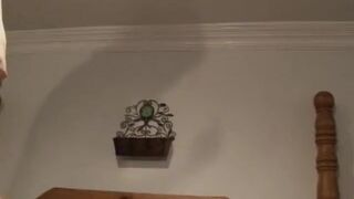 Two hungry girls share one hard cock and get jizzed