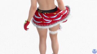 Dead or Alive Xtreme Venus Vacation Nyotengu Noel Aux Praises Swimsuit Fanservice Appreciation p